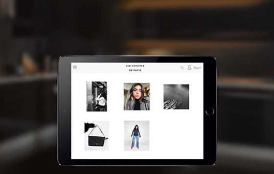 LES COYO TES DE PARIS: LES COYO TES DE PARIS